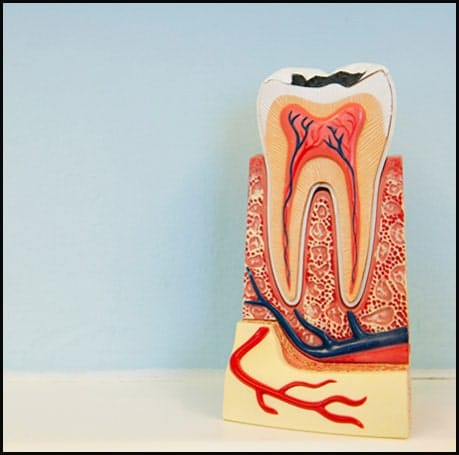 Endodontics-Root-canal-min Endodontics-Root-canal-min